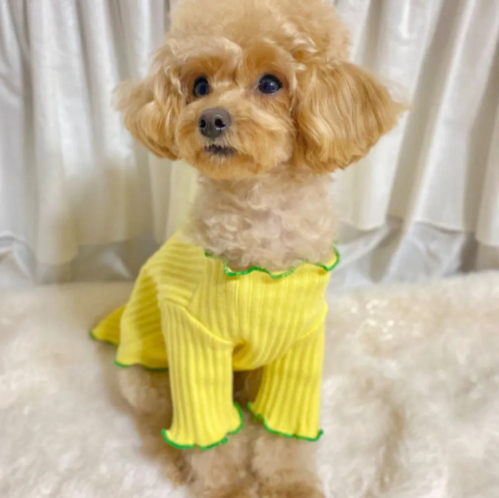 Candy Ribbed Cardigan